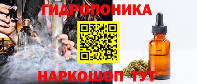 эйфоретик Гатчина