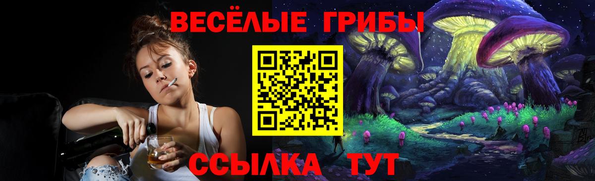 Нальчик  Галлюциногенные грибы мицелий  купить наркотики сайты  Вход с VPN 